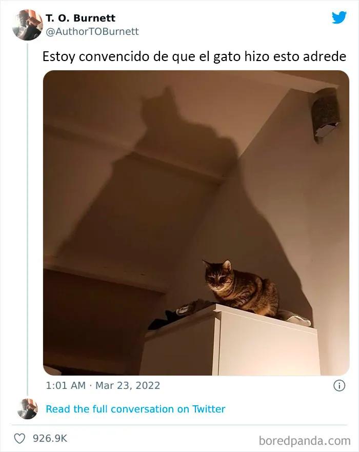 20 Tuits divertidos y acertados sobre la vida con perros y gatos