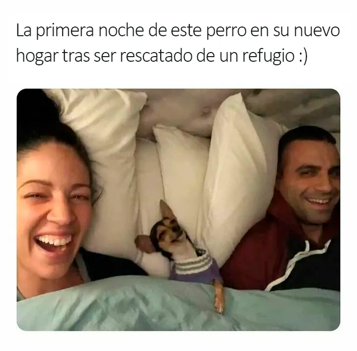 20 Publicaciones muy reconfortantes de esta cuenta de Instagram para llenarte de alegría