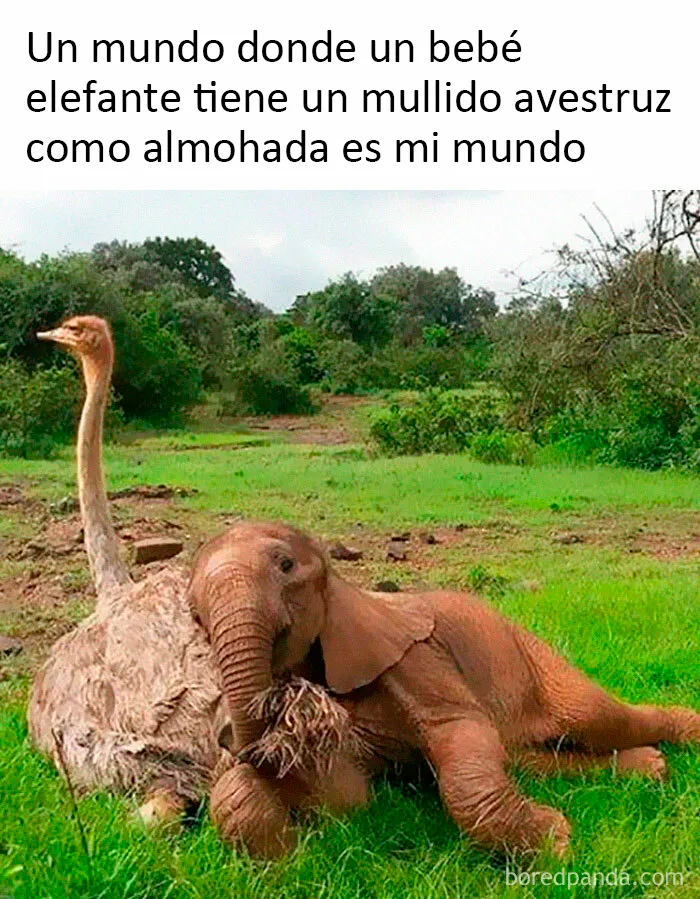 20 Publicaciones reconfortantes de este grupo de Facebook para restaurar tu fe en la humanidad