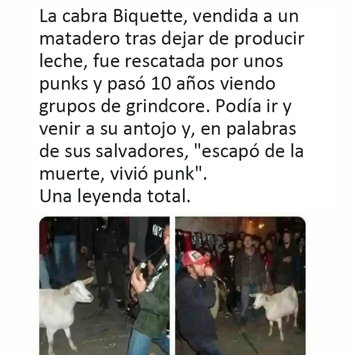 20 Publicaciones muy reconfortantes de esta cuenta de Instagram para llenarte de alegría
