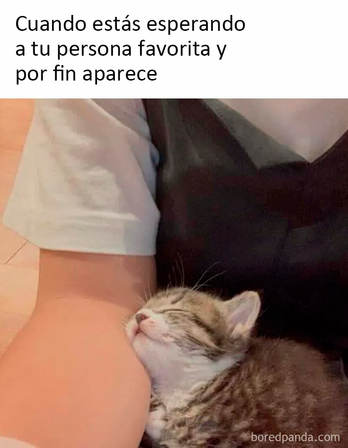 20 Publicaciones reconfortantes de este grupo de Facebook para restaurar tu fe en la humanidad
