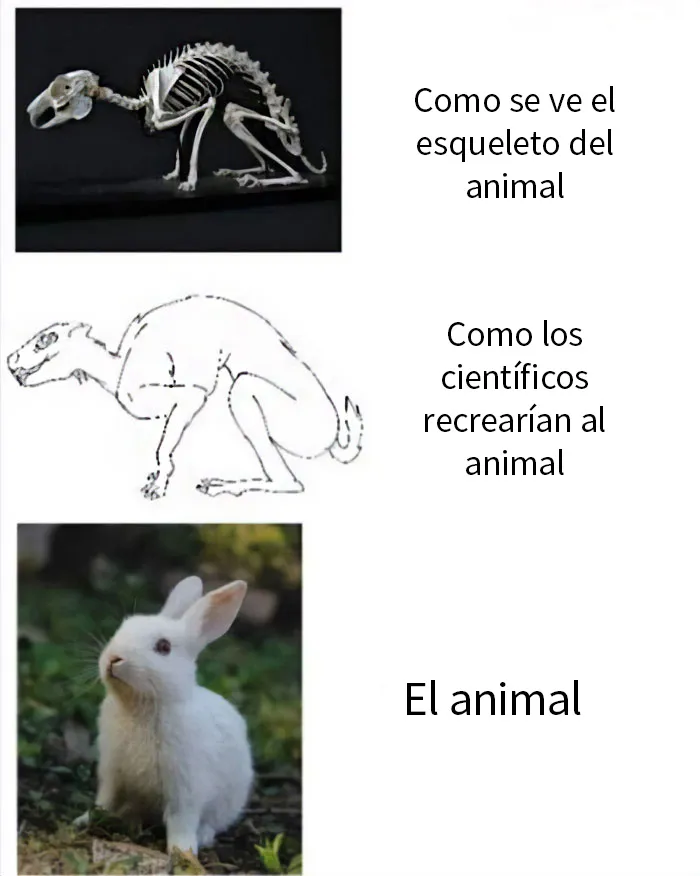 20 De los mejores memes sobre ciencia