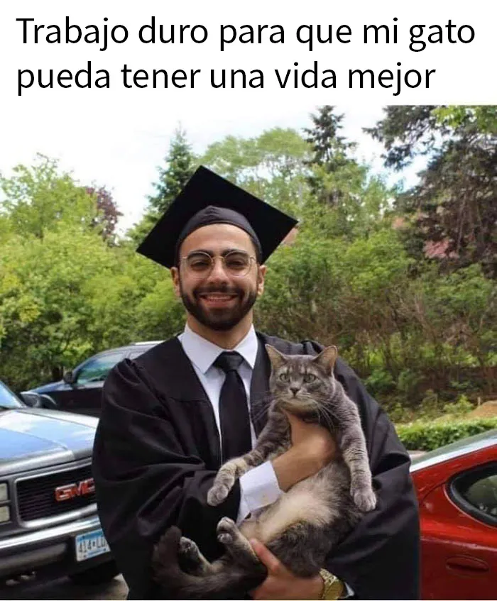 20 De los mejores memes sobre ciencia
