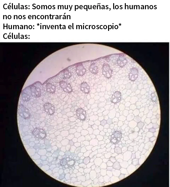 20 De los mejores memes sobre ciencia