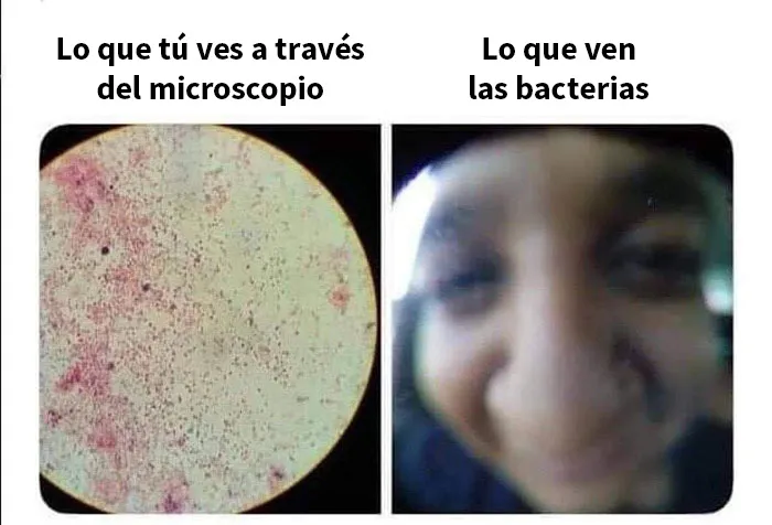 20 De los mejores memes sobre ciencia