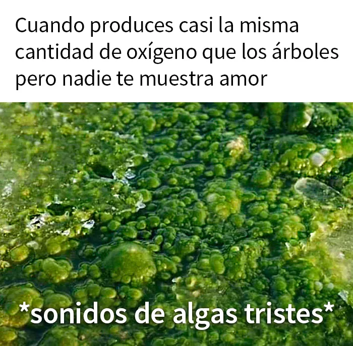 20 De los mejores memes sobre ciencia