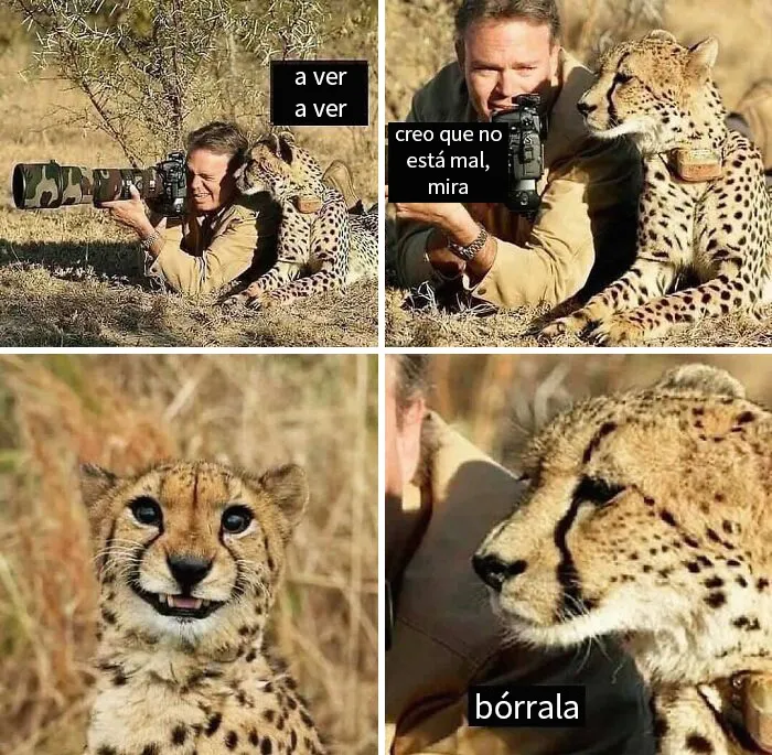 20 Memes sobre fotografía compartidos en instagram que te harán reír a carcajadas