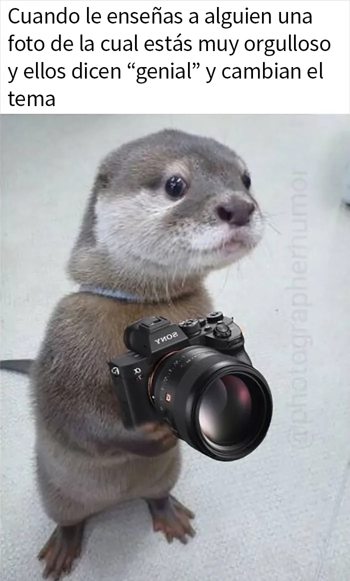 20 Memes sobre fotografía compartidos en instagram que te harán reír a carcajadas