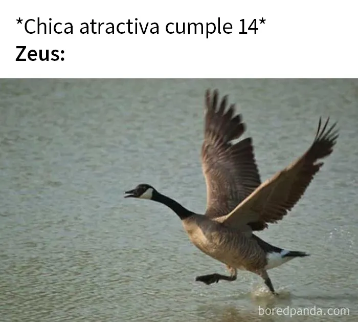 20 Memes sobre Historia tan divertidos como acertados