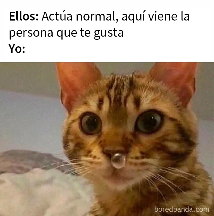 20 Divertidos memes de este grupo de Facebook que resumen a la perfección las relaciones de pareja