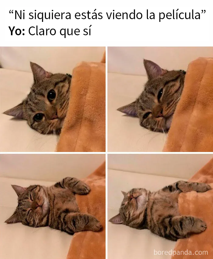 20 Divertidos memes de este grupo de Facebook que resumen a la perfección las relaciones de pareja