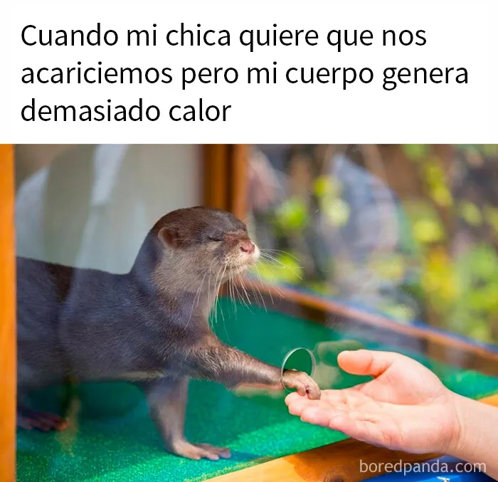 20 Divertidos memes de este grupo de Facebook que resumen a la perfección las relaciones de pareja