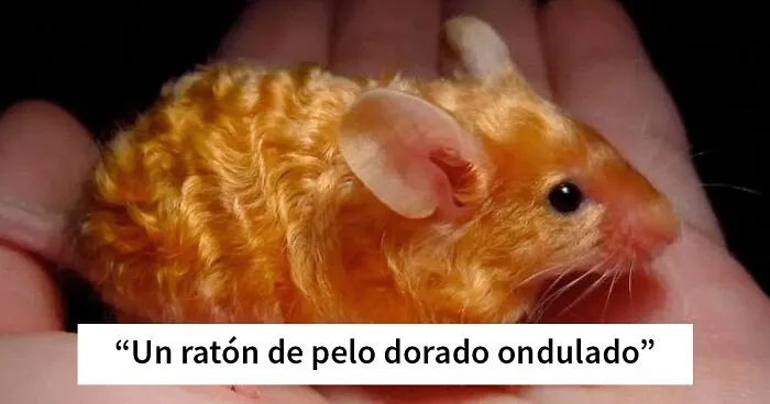 Esta página de Facebook comparte milagros del mundo natural tan magníficos como espeluznantes (40 fotos)