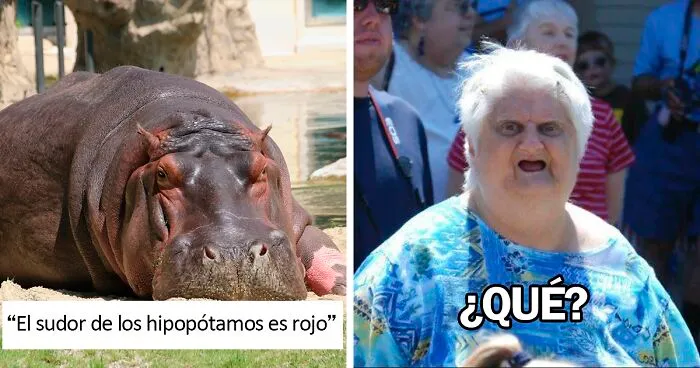 30 Datos interesantes y extraños sobre animales que no mucha gente conoce