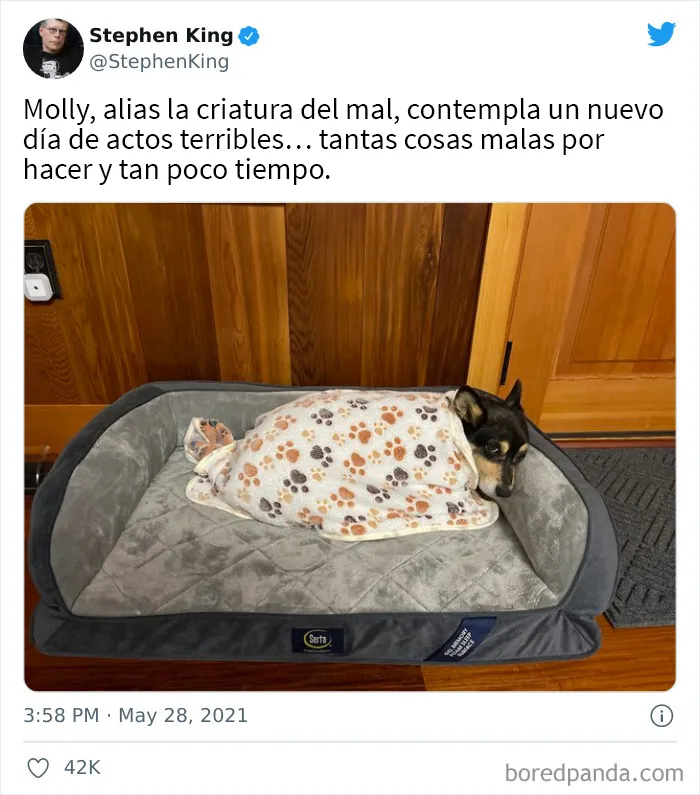 20 De los mejores tuits de celebridades