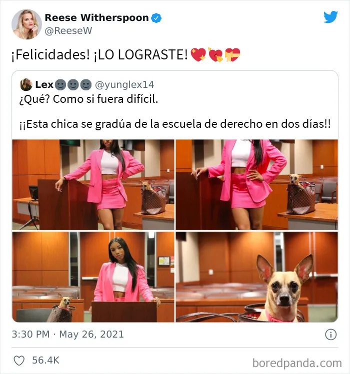 20 De los mejores tuits de celebridades