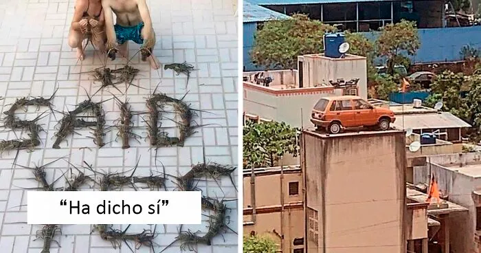 26 Fotos tan divertidas como confusas publicadas por la página "Imágenes que requieren más contexto" (nuevas fotos)