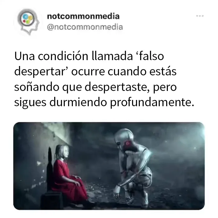 20 Nuevos datos poco conocidos compartidos por la cuenta de Instagram "Not Common Facts"