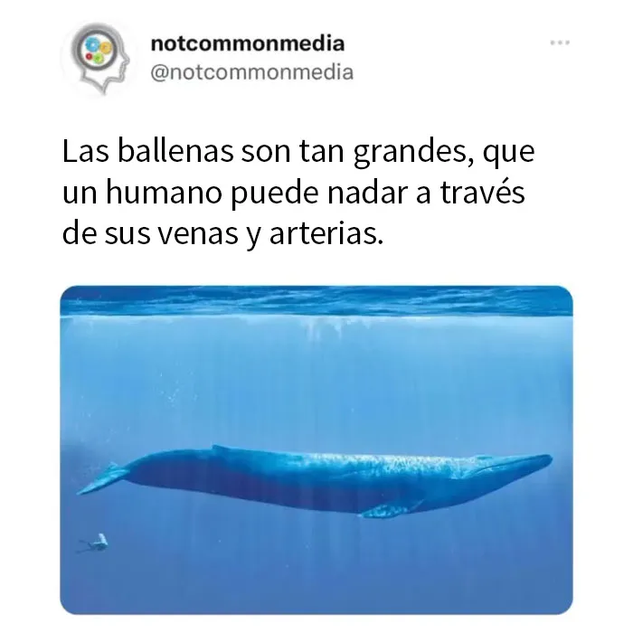 20 Nuevos datos poco conocidos compartidos por la cuenta de Instagram "Not Common Facts"