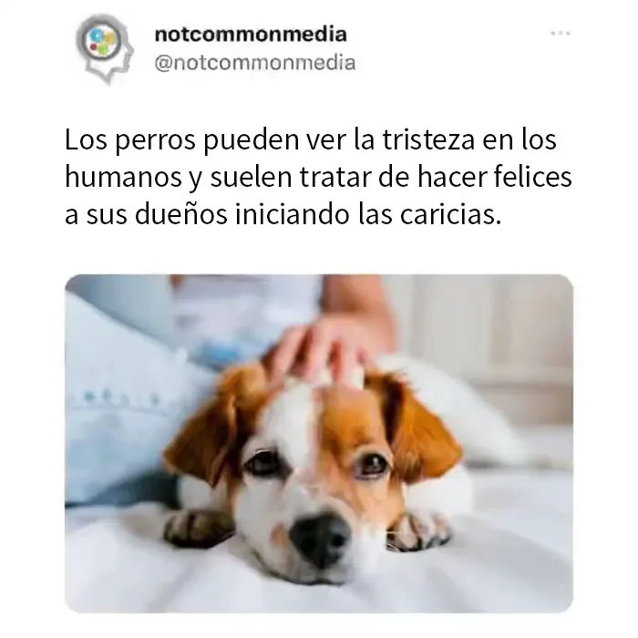 20 Nuevos datos poco conocidos compartidos por la cuenta de Instagram "Not Common Facts"