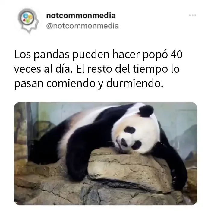 20 Nuevos datos poco conocidos compartidos por la cuenta de Instagram "Not Common Facts"