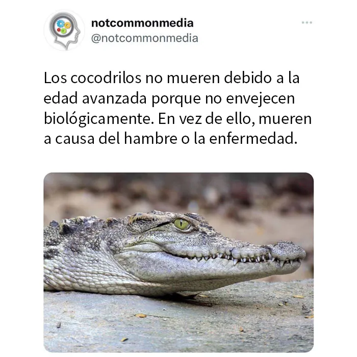 20 Nuevos datos poco conocidos compartidos por la cuenta de Instagram "Not Common Facts"