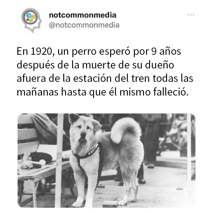 20 Nuevos datos poco conocidos compartidos por la cuenta de Instagram "Not Common Facts"