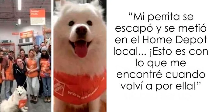 20 Publicaciones reconfortantes para sentirse bien, compartidas en el instagram "Delightful news"