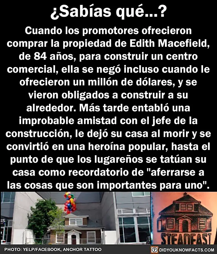 20 Datos interesantes y contrastados que quizá no sepas sobre el mundo