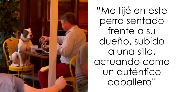 3,8 Millones de personas adoran este video de un hombre que tiene la cena más dulce con su perro