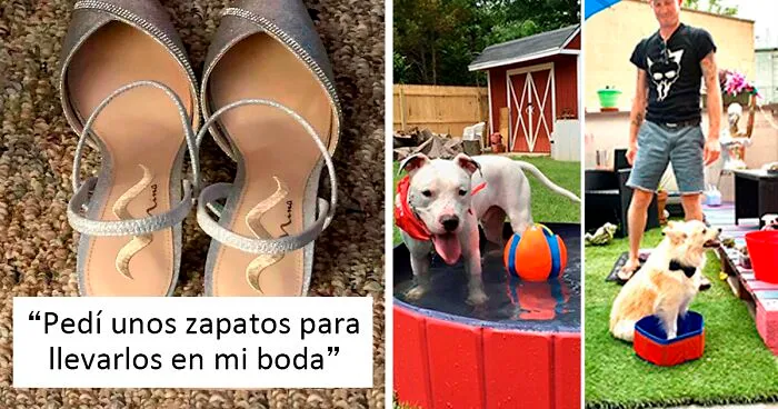 30 Personas que compraron algo por internet y recibieron otra cosa distinta (nuevas fotos)