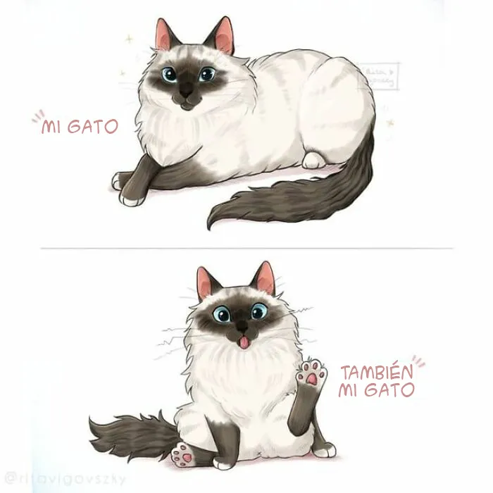 30 Ilustraciones que muestran cómo es tener un gato