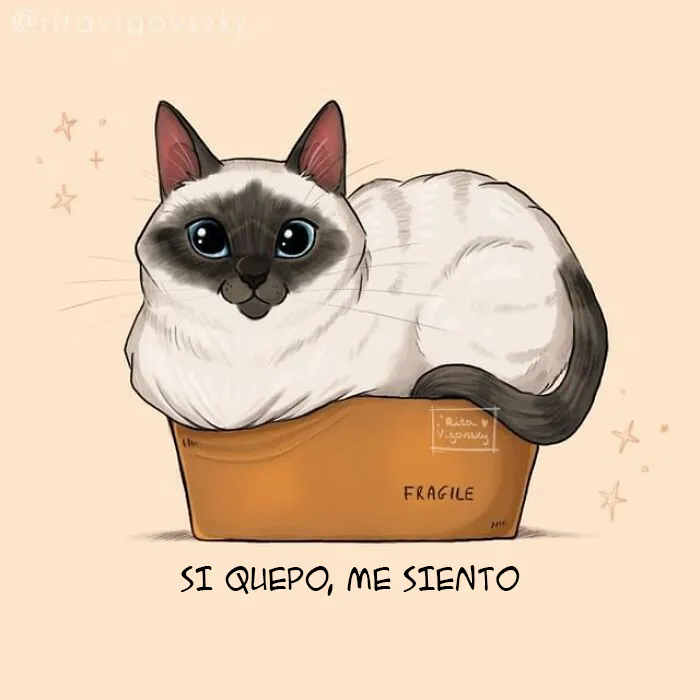 30 Ilustraciones que muestran cómo es tener un gato