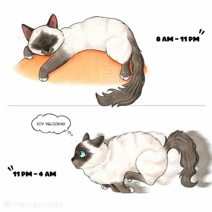 30 Ilustraciones que muestran cómo es tener un gato