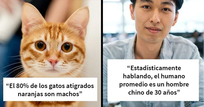 25 Fascinantes, extrañas y perturbadoras estadísticas sobre diversos temas