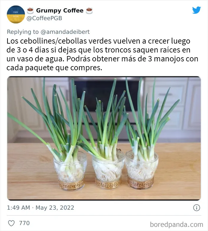 20 De los mejores trucos vitales sorprendentemente geniales que en verdad funcionan