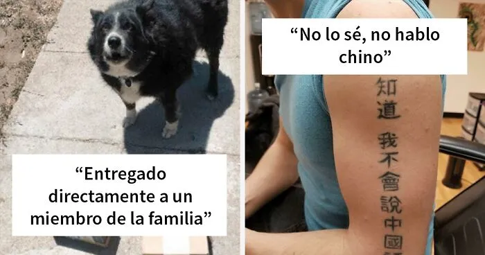 27 Divertidas fotos de personas haciendo exactamente lo que les pedían (nuevas fotos)
