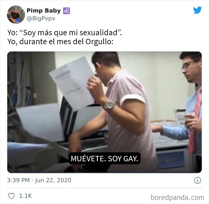 El mes del Orgullo de 2022 ha comenzado y aquí tenemos 20 de los memes más graciosos al respecto
