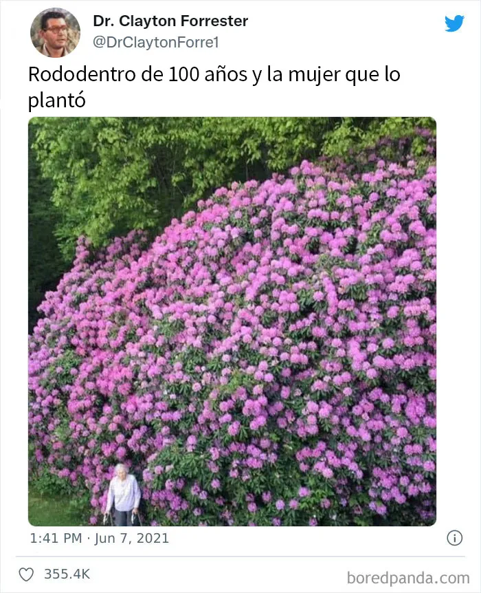 20 Fotos tan reconfortantes como geniales para sanar tu alma