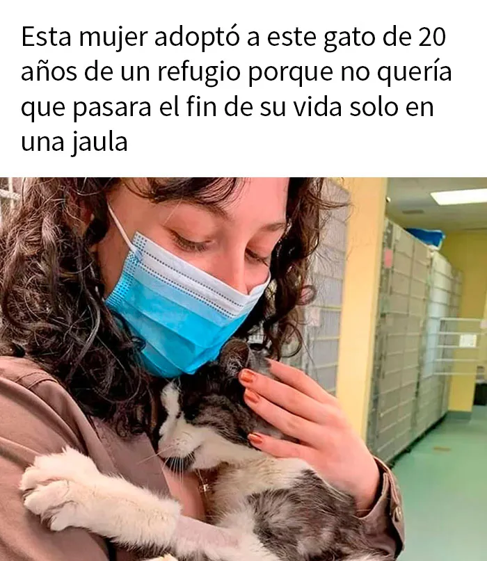 20 Fotos tan reconfortantes como geniales para sanar tu alma