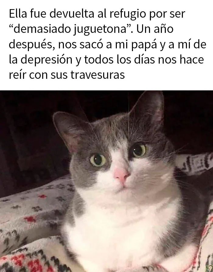 20 Fotos tan reconfortantes como geniales para sanar tu alma
