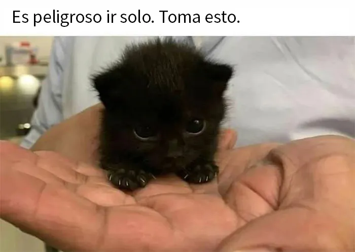 20 Fotos tan reconfortantes como geniales para sanar tu alma