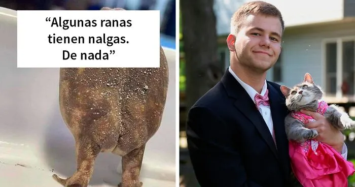 20 Fotos tan reconfortantes como geniales para sanar tu alma