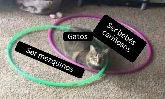 20 Diagramas de Venn que resultan más graciosos que útiles