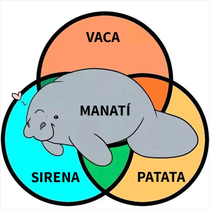 20 Diagramas de Venn que resultan más graciosos que útiles
