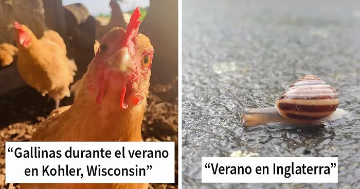 “Tu foto favorita del verano”: 30 imágenes de la comunidad Bored Panda