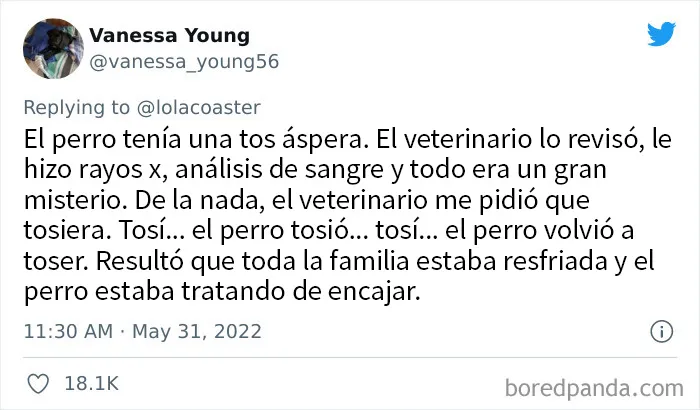 20 Dueños comparten la razón más ridícula por la que tuvieron que llevar a su mascota al veterinario