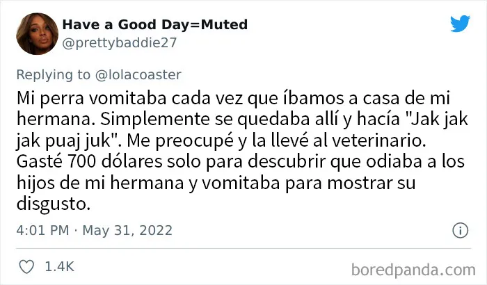 20 Dueños comparten la razón más ridícula por la que tuvieron que llevar a su mascota al veterinario