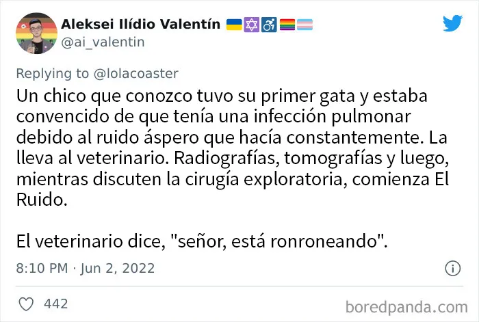 20 Dueños comparten la razón más ridícula por la que tuvieron que llevar a su mascota al veterinario