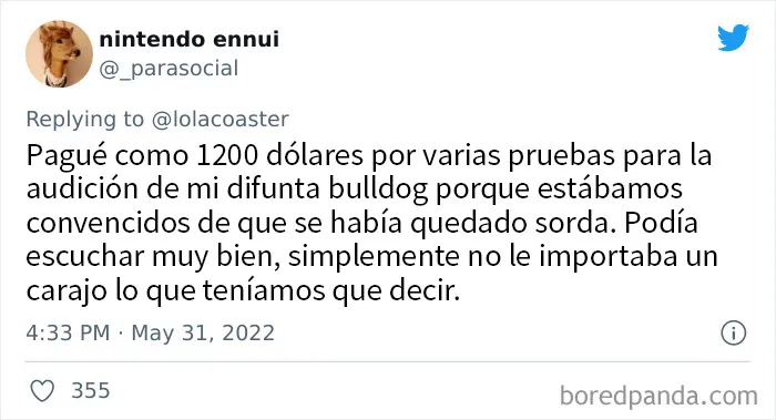 20 Dueños comparten la razón más ridícula por la que tuvieron que llevar a su mascota al veterinario